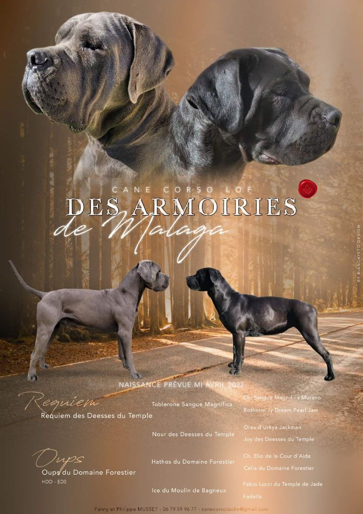 DES P'TITS MONSTRES POUR MI AVRIL 
